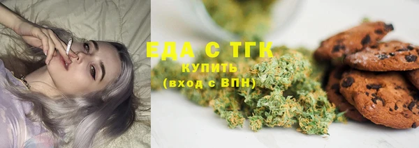 СК Алзамай