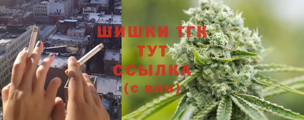 СК Алзамай