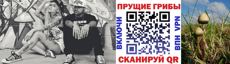 ссылка на мегу рабочий сайт  Тосно  Галлюциногенные грибы GOLDEN TEACHER 